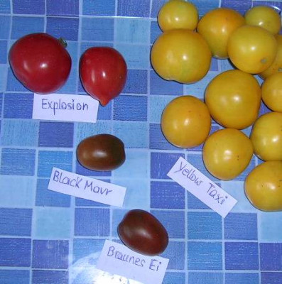 07_09___ernte___ab_10.6..jpg