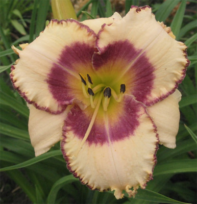 193-9333ab_IMG.jpg