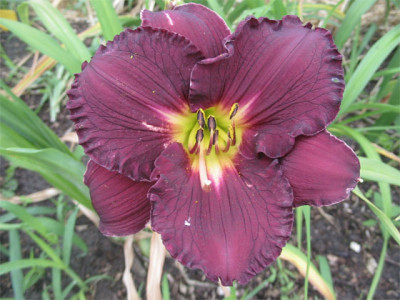 193-9365a_IMG.jpg