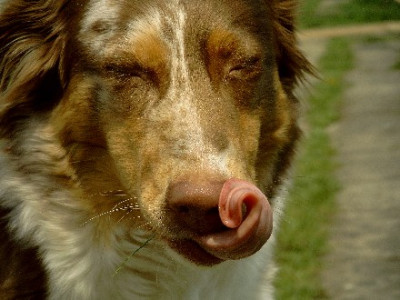 Bailey-079-01.jpg