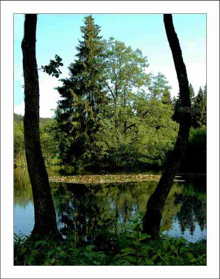 Waldsee_4_01-07-2006.jpg