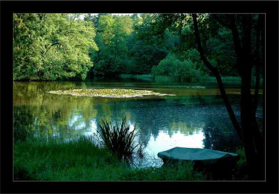 Waldsee_3_01-07-2006.jpg
