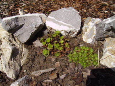 PICT0999.JPG