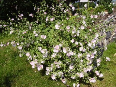 PICT0996.JPG