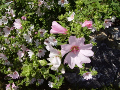 PICT0997.JPG