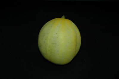 A0382_Large.JPG