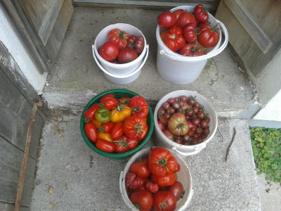 20150811_110257.jpg