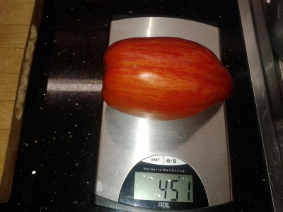 20150811_162532.jpg