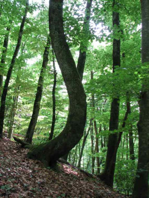 LOKAL_SO_0907_II.jpg