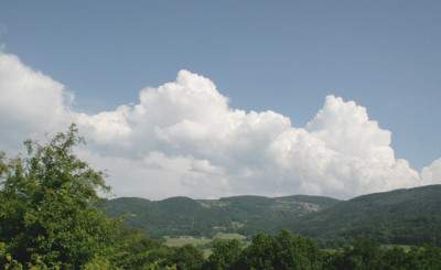 Bay.Wald-6.jpg