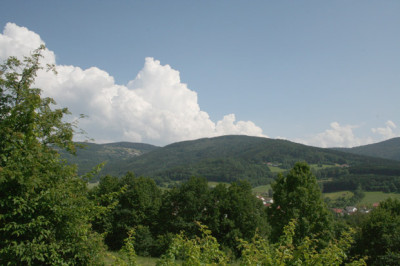 Bay.Wald-7.jpg