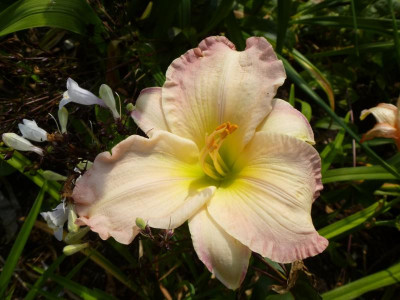 P1020962-Susan_weber.jpg