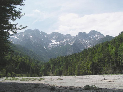 brunnental_sandbank.jpg