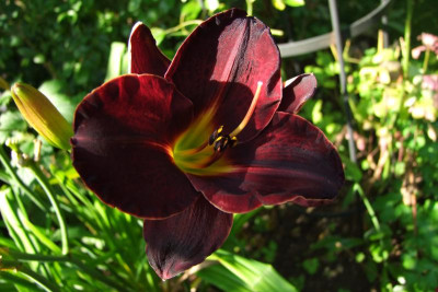 2015_0813last0076.JPG