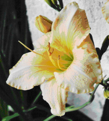 Unbenannte_Hem_White_2.jpg