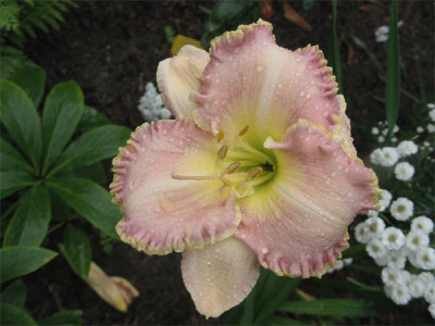 196-9604a_IMG.jpg