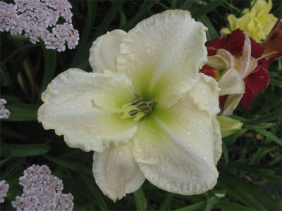 196-9643a_IMG.jpg