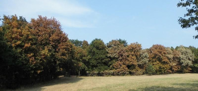 DSCI0788 - Kopie.JPG