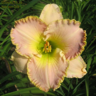 GT05-KL13.19__2234_r11.jpg