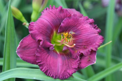 Joern_21_1520.jpg