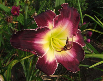 2015_0814HemsVergleich0085.jpg