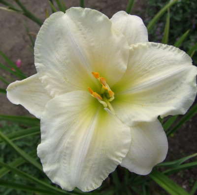 2015_0814HemsVergleich0074.jpg