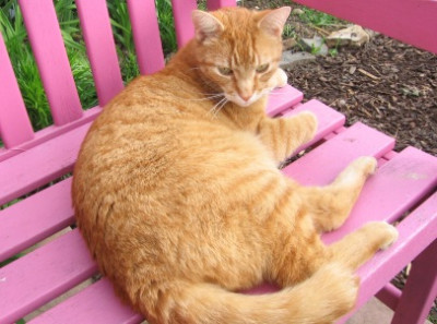 Tigger.jpg
