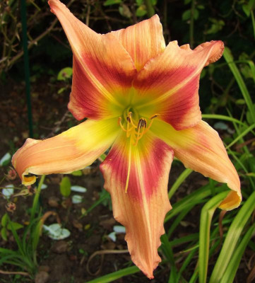 2015_0814HemsVergleich0047.jpg