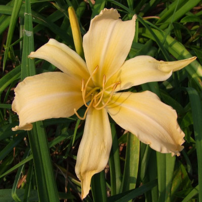 2015_0814HemsVergleich0065.jpg
