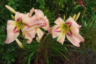 2015_0814HemsVergleich0090.jpg