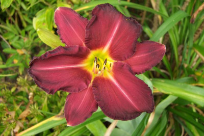2015_0814HemsVergleich0094.JPG