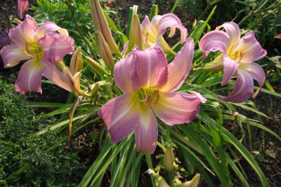 2015_0814HemsVergleich0053.jpg