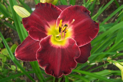2015_0814HemsVergleich0104.jpg