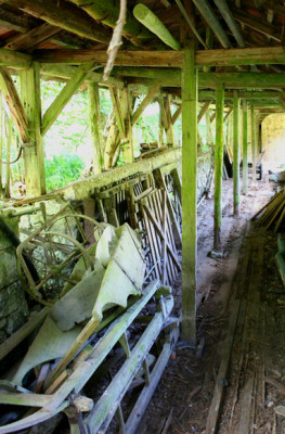 Buchenau-7-c.jpg