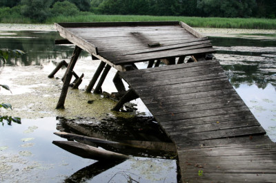 Donaugewasser-5.jpg