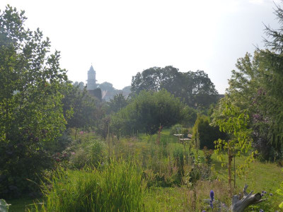 2015-08-15 Garteneinblick 2.jpg