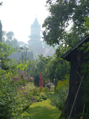 2015-08-15 Garteneinblick 3.jpg