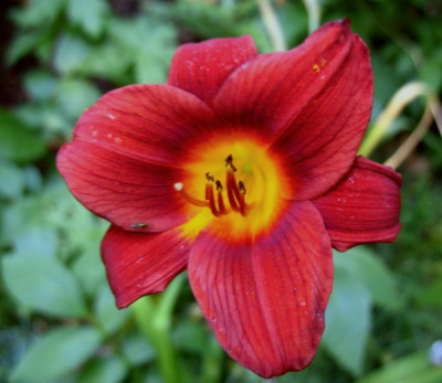new_UBO_Hem_9_neu.jpg