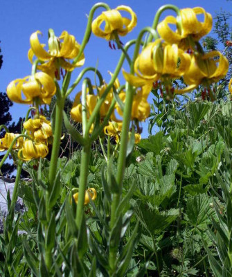 2006-07-16_045.JPG