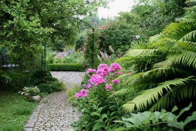 Garten-Mitte-Juli-1.jpg