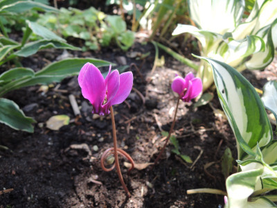 DSCN8083_881.JPG