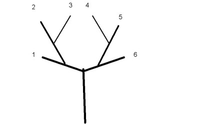 6x-Verzweigung.jpg