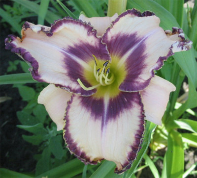 202-0241ab_IMG.jpg