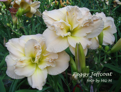 Imgp8851-PegJeff.jpg