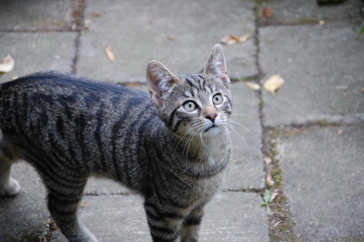 DSC_4767.JPG