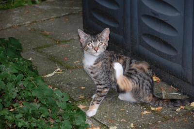 DSC_4776.JPG