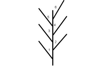 6-fach_Verzweigung.jpg