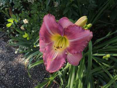 DSCN7550_884.JPG