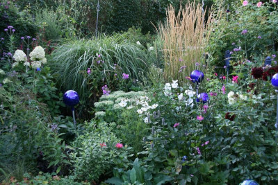 August0515.JPG