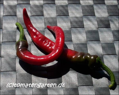 06chili_dedo_de_moca01.JPG.jpg